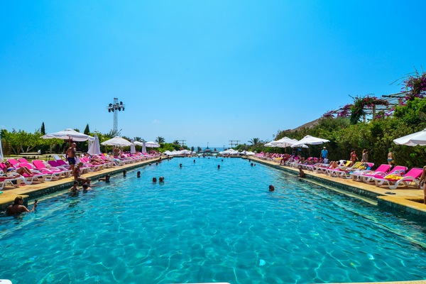 Edde Sands On Sunday